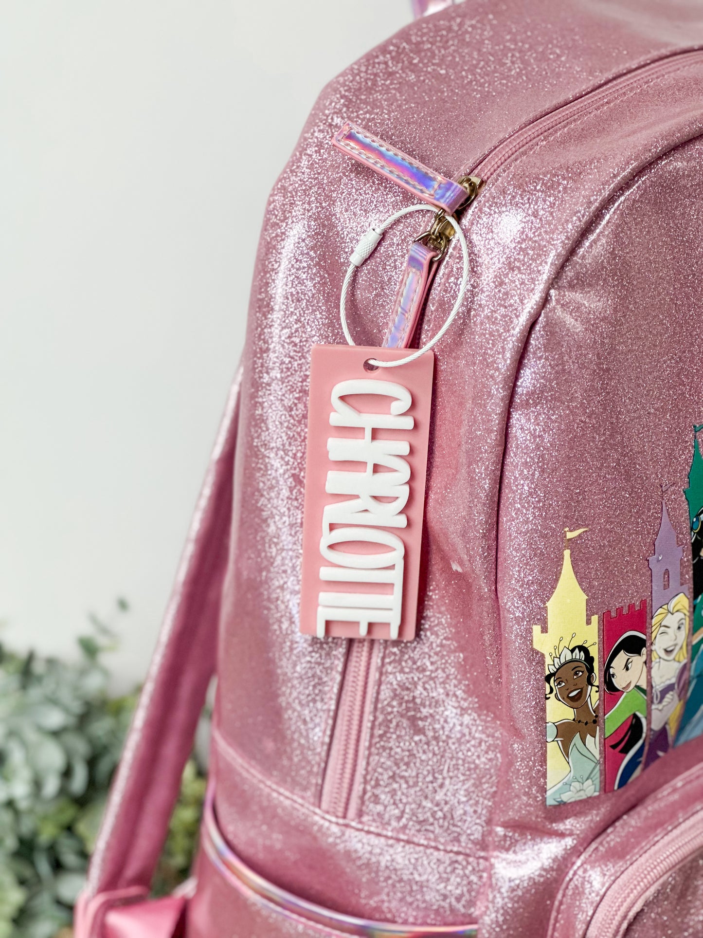 Acrylic Bag Tag